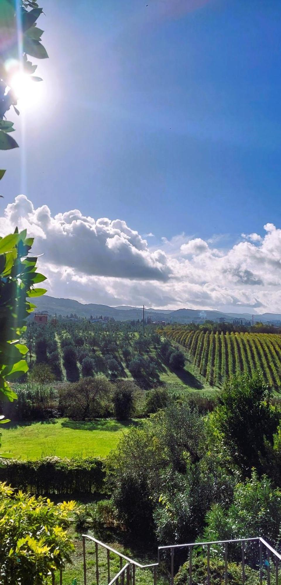 Le Civette Country Resort Bagno A Ripoli Luaran gambar